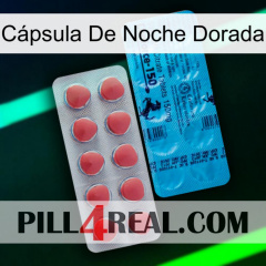 Cápsula De Noche Dorada new14